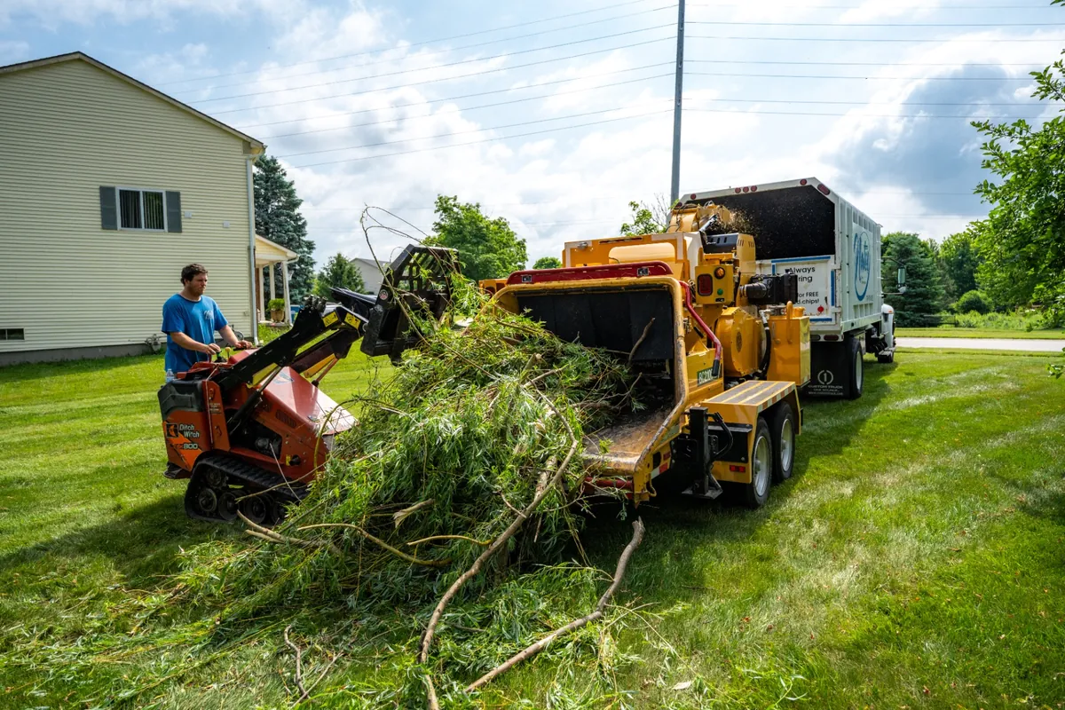 Crew feeding brush into a chipper with mini skid steer